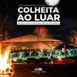 Colheita ao Luar da Vinícola Góes