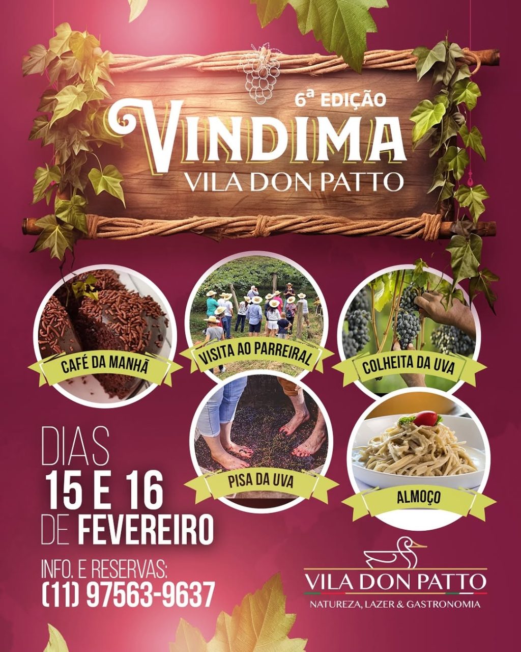 Vindima em São Roque: Colheita e Pisa da Uva na Vila Don Patto.